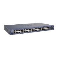PROSAFE™ 48-PORT GIGABIT SMART SWITCH